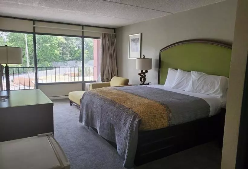 モーテル Palmetto Inn And Suites