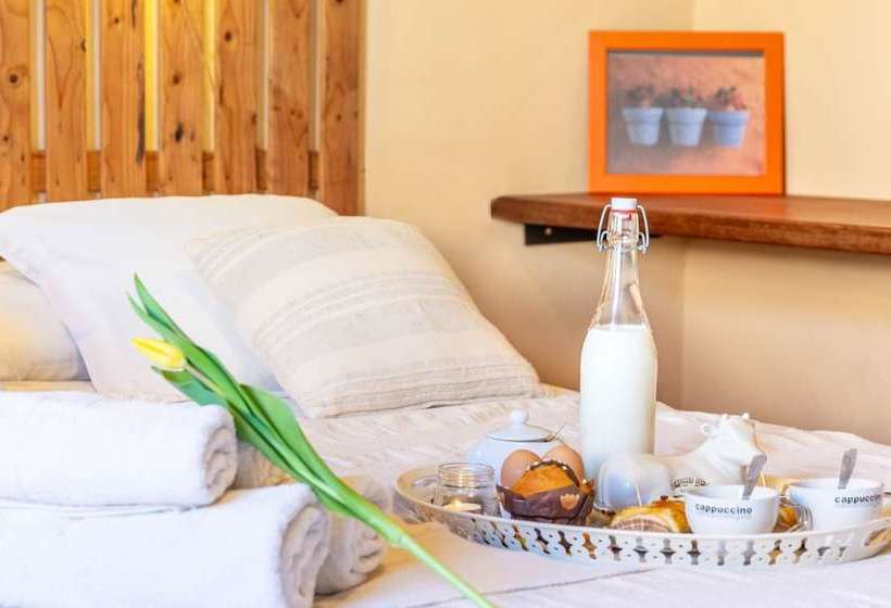 Mallorca Traditional Townhouse Holiday In Llubi