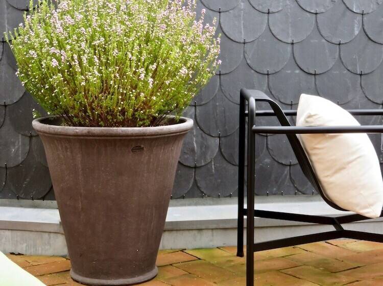 Oporto Serviced Apartments  Miragaia