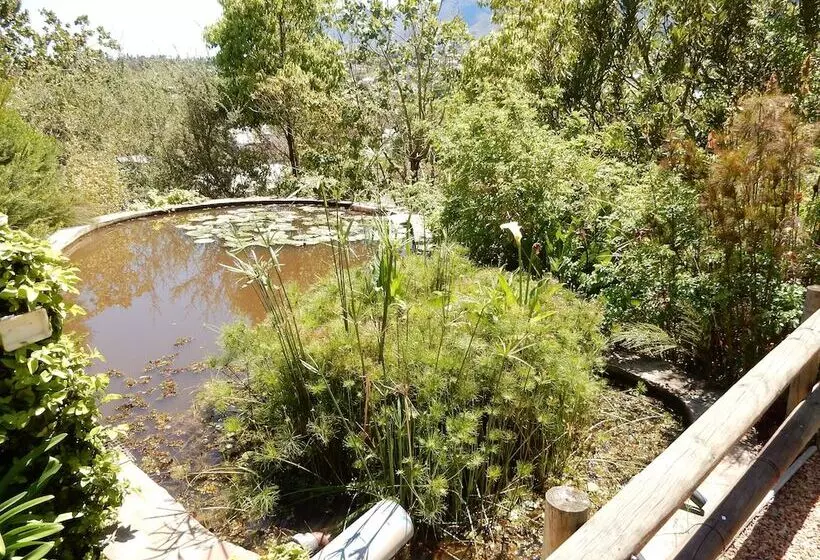 Majatalo Mountain View Swellendam