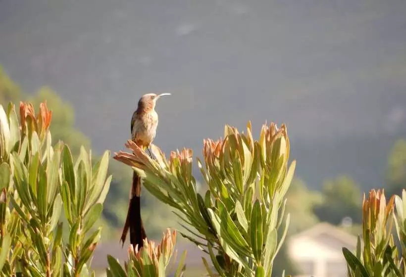 Majatalo Mountain View Swellendam