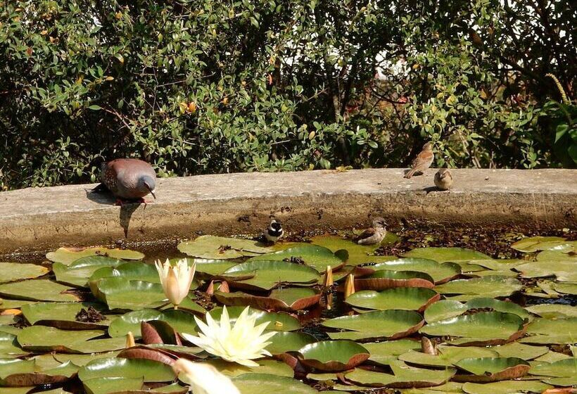 פנסיון Mountain View Swellendam