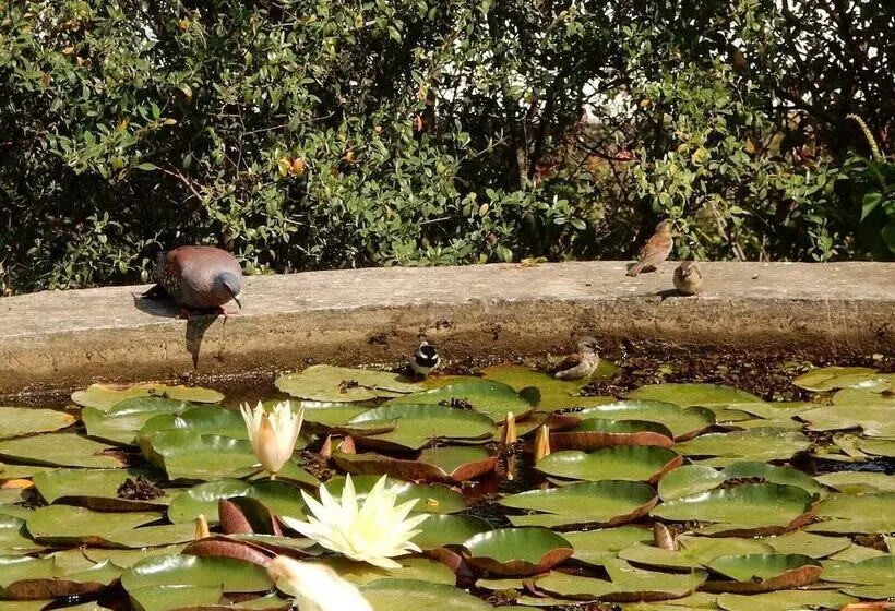 Majatalo Mountain View Swellendam