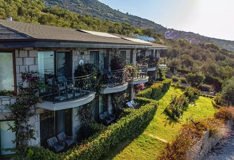 Assos Dionysos Hotel Special Class   Adults Only