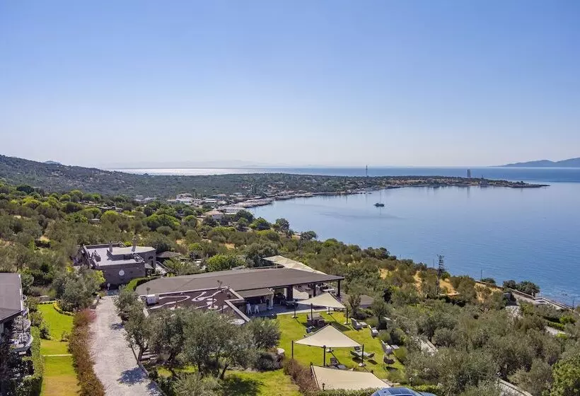 Assos Dionysos Hotel Special Class   Adults Only