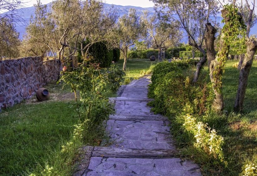 Assos Dionysos Hotel Special Class   Adults Only