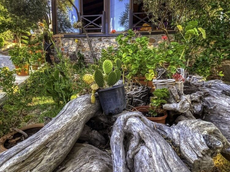 Assos Dionysos Hotel Special Class   Adults Only