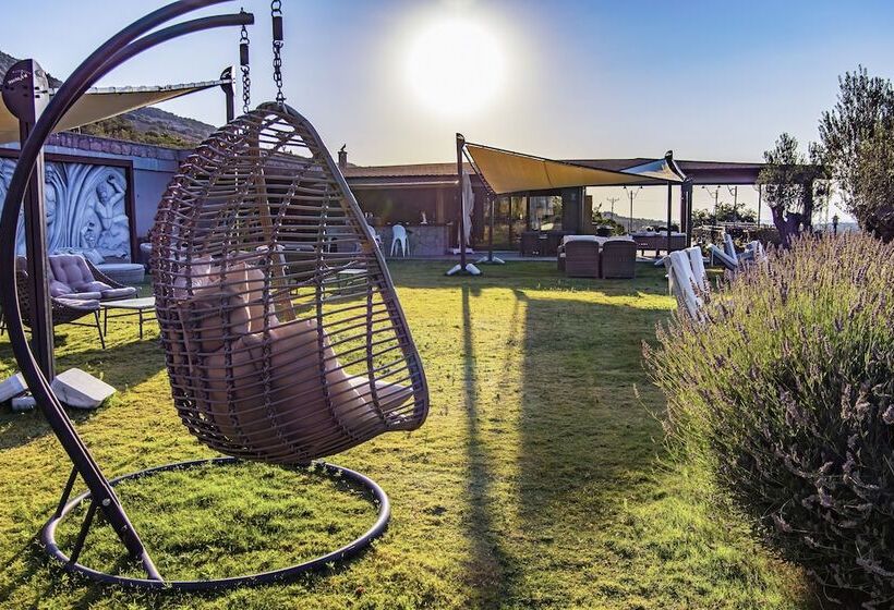 Assos Dionysos Hotel Special Class   Adults Only