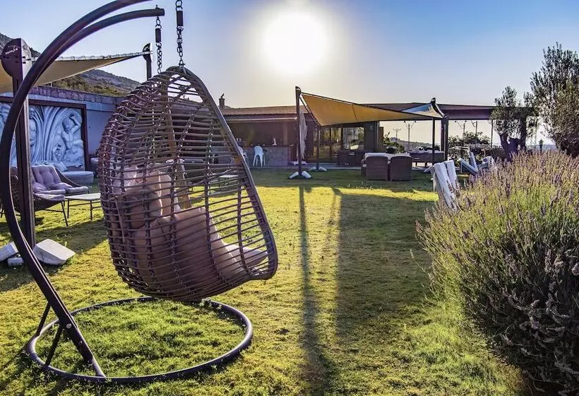 Assos Dionysos Hotel Special Class   Adults Only