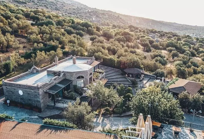 Assos Dionysos Hotel Special Class   Adults Only