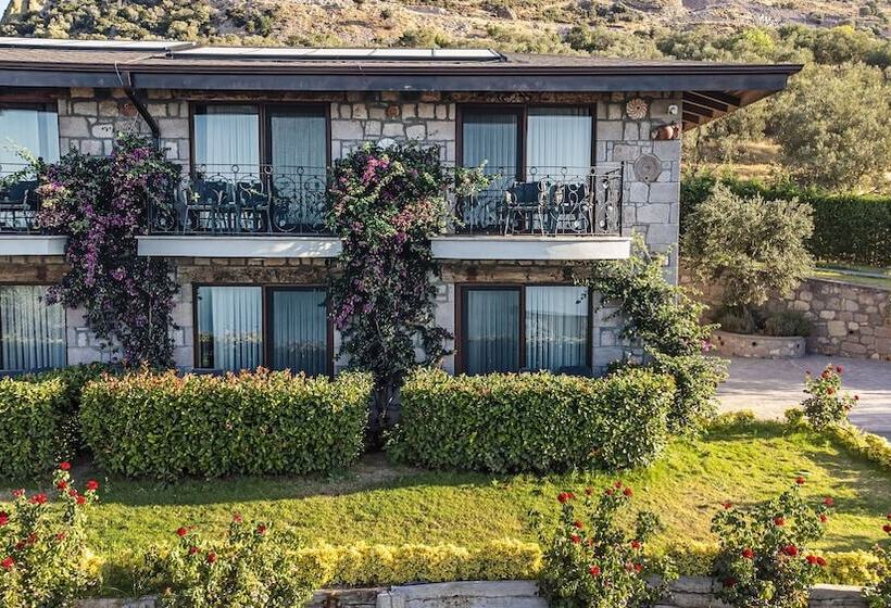 Assos Dionysos Hotel Special Class   Adults Only