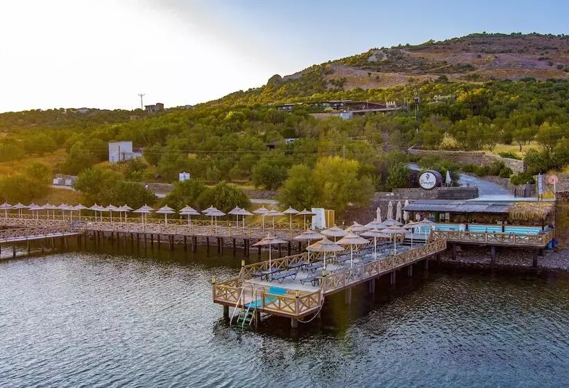 Assos Dionysos Hotel Special Class   Adults Only