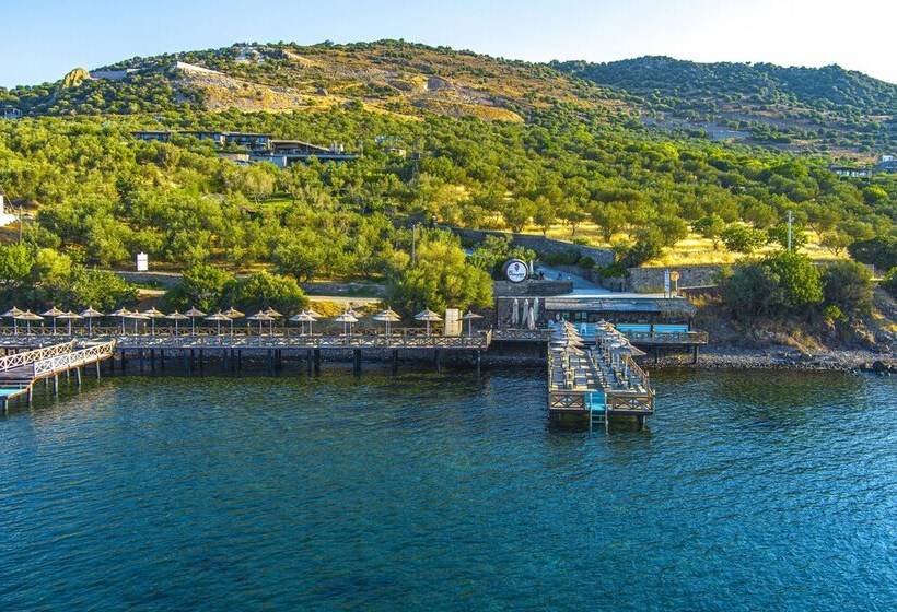 Assos Dionysos Hotel Special Class   Adults Only