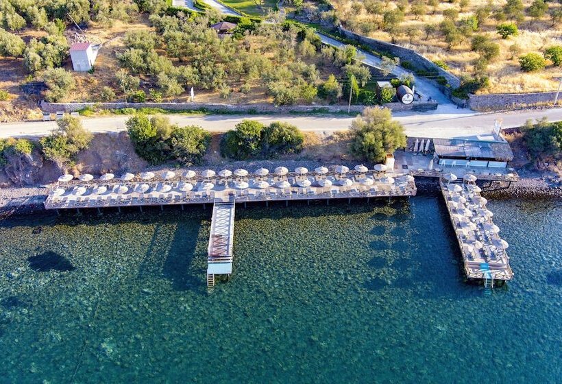 Assos Dionysos Hotel Special Class   Adults Only