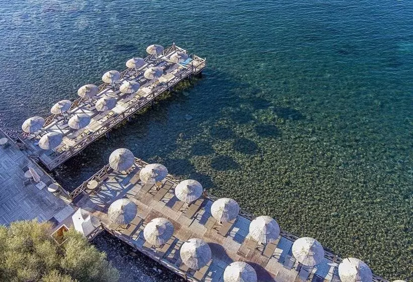 Assos Dionysos Hotel Special Class   Adults Only