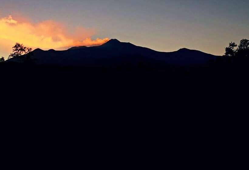 פנסיון B&b Masseria Cosentini