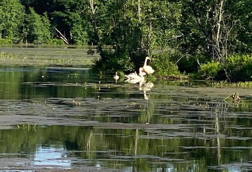 پانسیون Neitsijärve Majutus