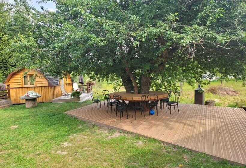 پانسیون Neitsijärve Majutus