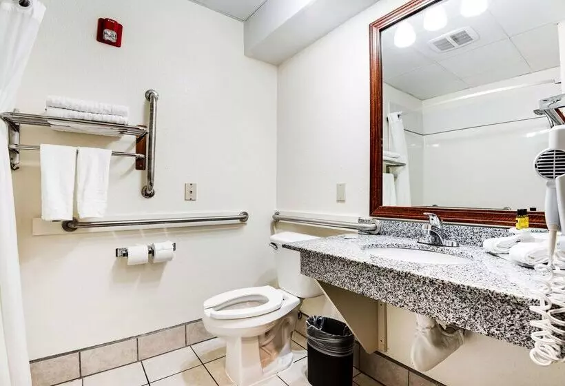 ホテル Best Western Firestone Inn & Suites