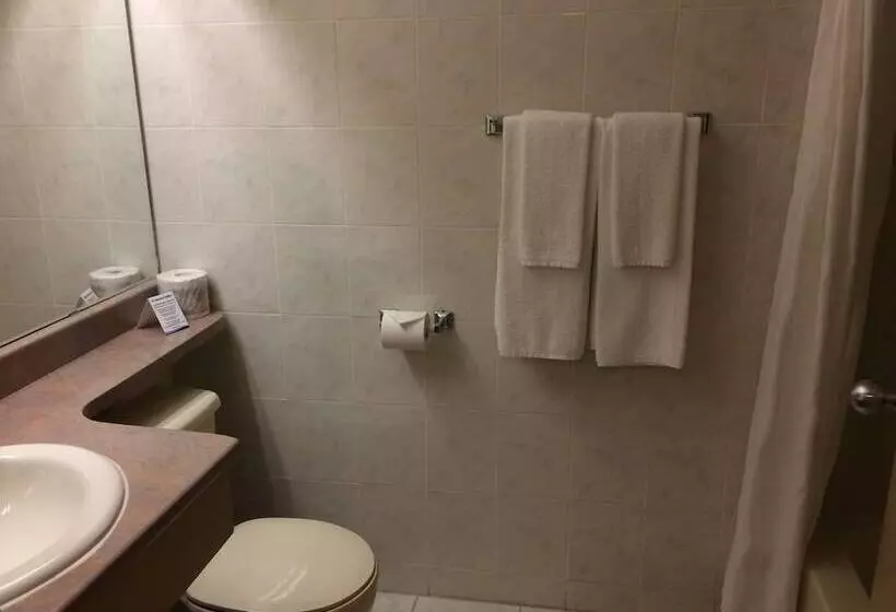 酒店 Coastal Inn Sackville