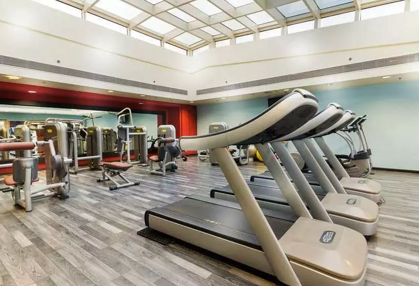 Отель Hilton Alexandria Green Plaza