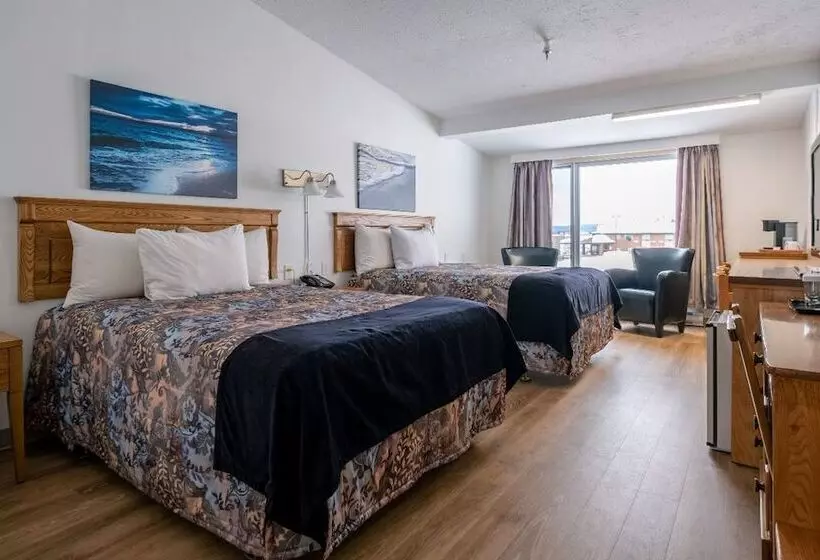 酒店 Hôtel Les Mouettes