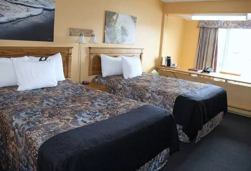 酒店 Hôtel Les Mouettes