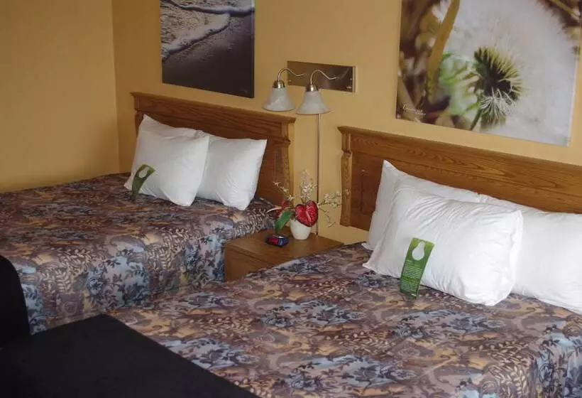 酒店 Hôtel Les Mouettes