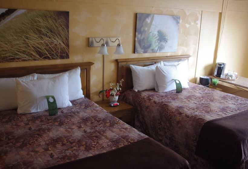 ホテル Hôtel Les Mouettes