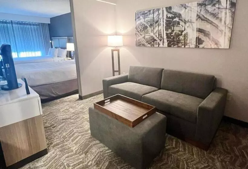 酒店 Springhill Suites Minneapolis West St. Louis Park