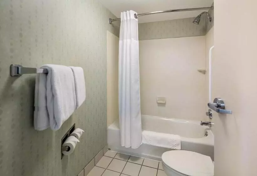 Hotel Springhill Suites By Marriott Pittsburgh Washington