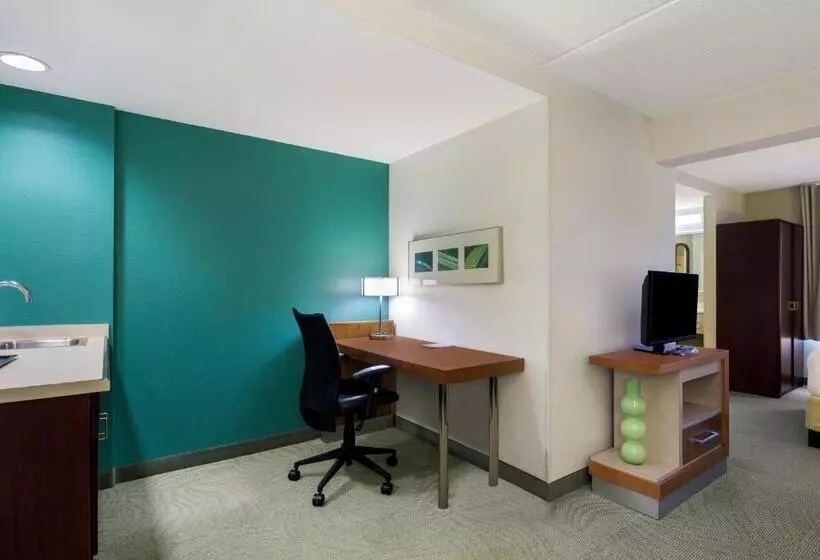 Hotel Springhill Suites By Marriott Pittsburgh Washington