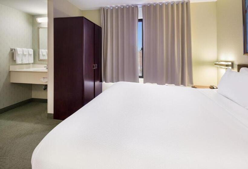 Отель Springhill Suites By Marriott Pittsburgh Washington