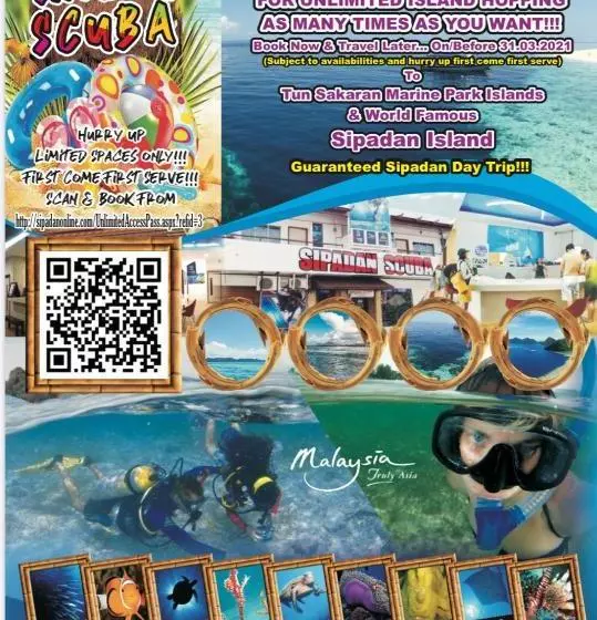 ユースホステル Holiday Dive Inn