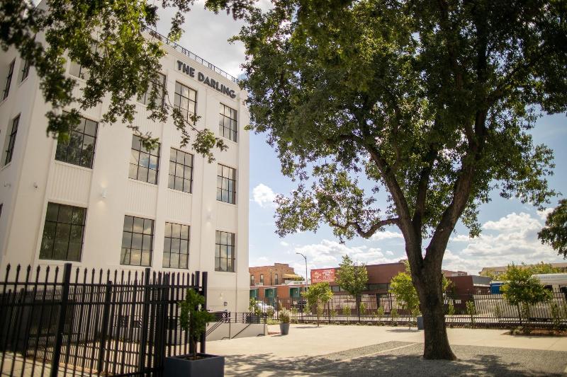 ホテル The Darling