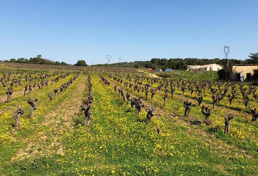 بنسيون Le Clos Soleilhan