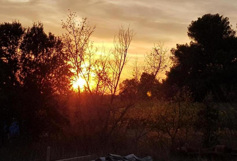 بنسيون Le Clos Soleilhan