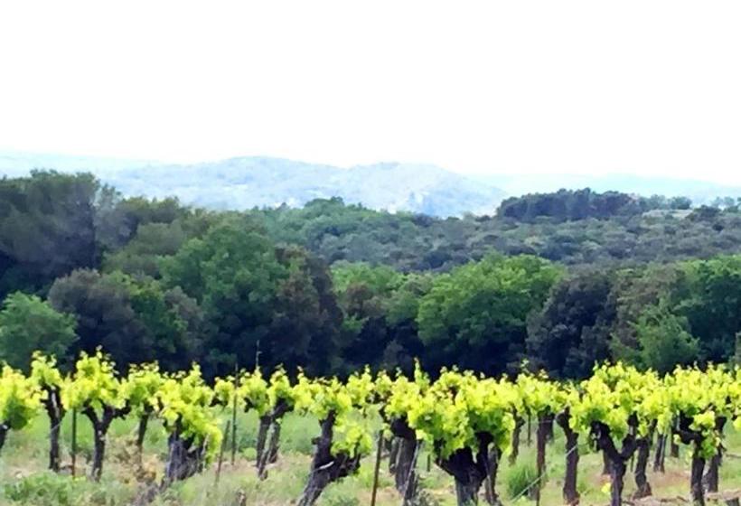 بنسيون Le Clos Soleilhan