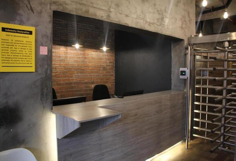 הוסטל 13@thibault