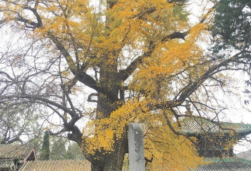 בית מלון כפרי 7days Premium Shiyan Renmin Road Sanyan Coach Station Branch