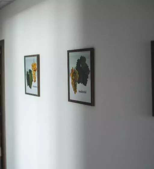 پانسیون Apartmány Pemag Mikulov