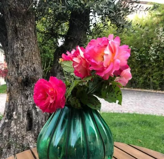 Aamiaismajoitus (B&B) Maison Silvia