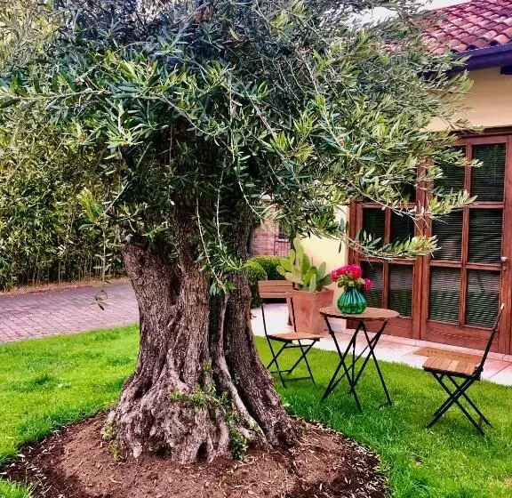 Aamiaismajoitus (B&B) Maison Silvia