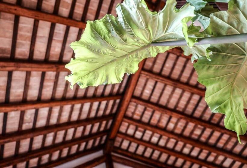 مبيت وإفطار Maison Silvia