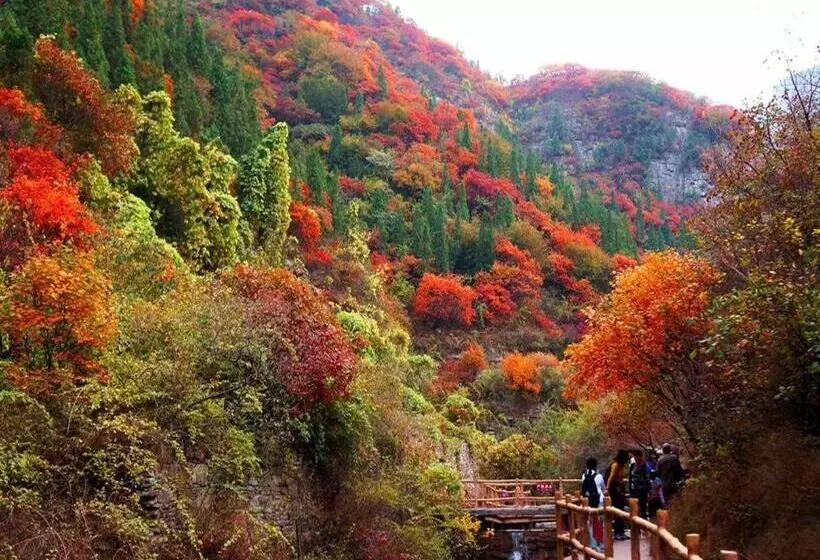 Hotelli 7days Inn Qingzhou Pingzhangfu Store