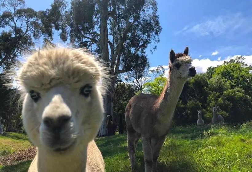 Hotelli Valley Farm Vineyard Villas