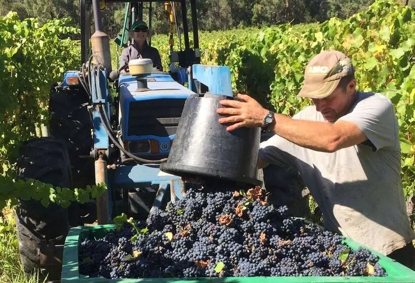 Hotelli Valley Farm Vineyard Villas