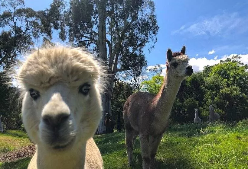 Hotelli Valley Farm Vineyard Villas