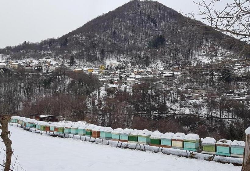 酒店 Baita Eleonora