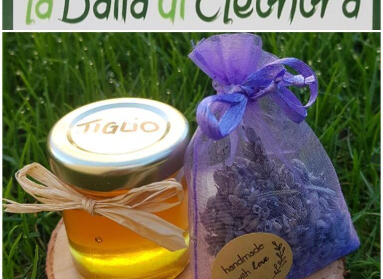 酒店 Baita Eleonora